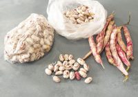 Derin Dondurucuda Taze Barbunya Saklama Tarifi