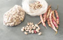 Derin Dondurucuda Taze Barbunya Saklama Tarifi