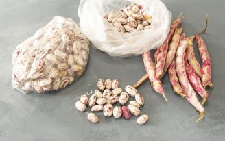 Derin Dondurucuda Taze Barbunya Saklama Tarifi