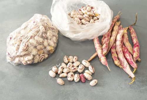 Derin Dondurucuda Taze Barbunya Saklama Tarifi